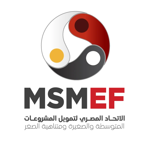 MSMEF